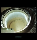 dailyPhoto15